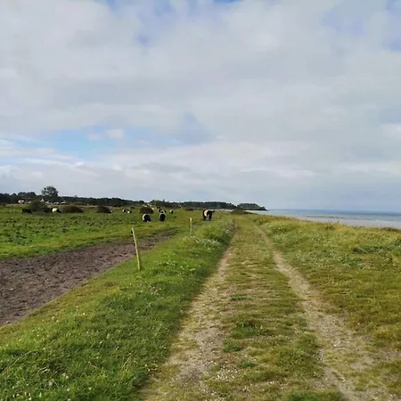 4 Star Holiday Home In Nordborg * Nordborg