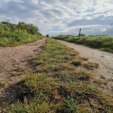 Dom wakacyjny Family Fun By The Sea - By Traum