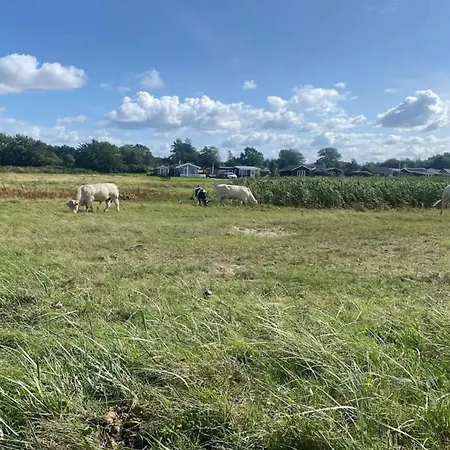 Family Fun By The Sea - By Traum Nordborg