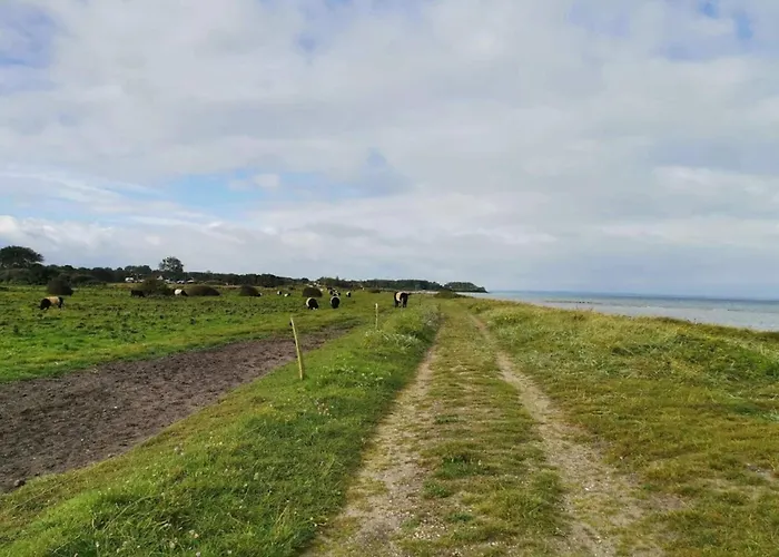 Family Fun By The Sea - By Traum * Nordborg