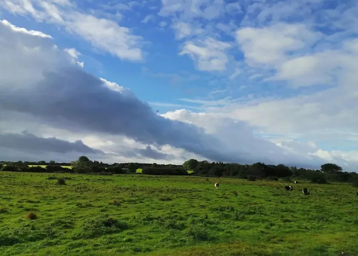 Family Fun By The Sea - By Traum