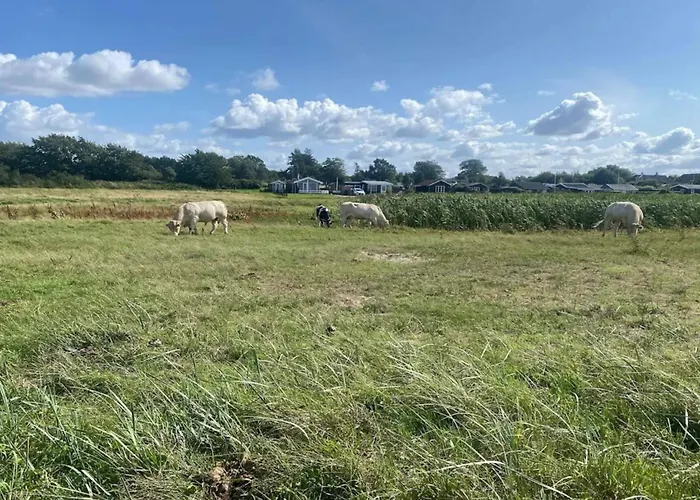 Family Fun By The Sea - By Traum Nordborg